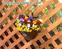 【クリックでお店のこの商品のページへ】ラティス専用フック(ウォールポット用) ハンマートーン ラティスにウォールポットを飾るための専用フックです。2個入。