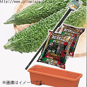 【クリックで詳細表示】【プラザオリジナル家庭菜園セット】きゅうり・つる植物プランターセット3株・ベージュ/オレンジ    きゅうり・ゴーヤ・つる植物を栽培する際に必要となるプランター、培養土、支柱セットが一つになった、便利なアイリスプラザのオリジナルセットです。プランターは、ベージュ、オレンジの2色からお選び頂けます。ベージュセットは完売いたしました