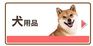 ���p�i