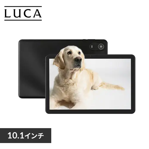 ^ubg 10C` 64GB C4GB 8RA [J[ یtBW LUCA TE10D2M64-V1B ubN_0