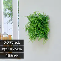 �c�d�b�n �f�q�d�d�m �E�H�[���p�l�� WG-50A �A�W�A���^��