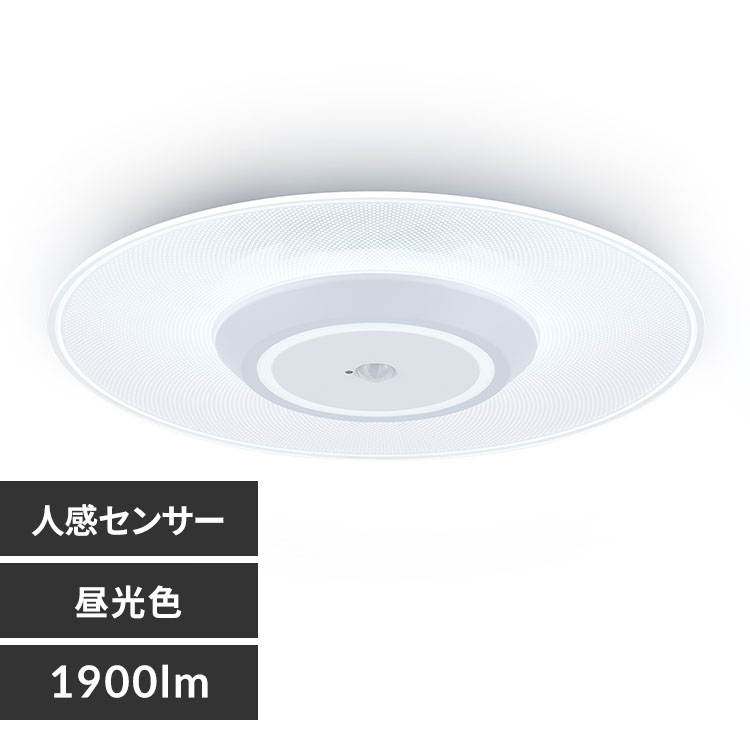小型シーリングライト 導光板 1900lm 昼光色 SCL190D-P 112653