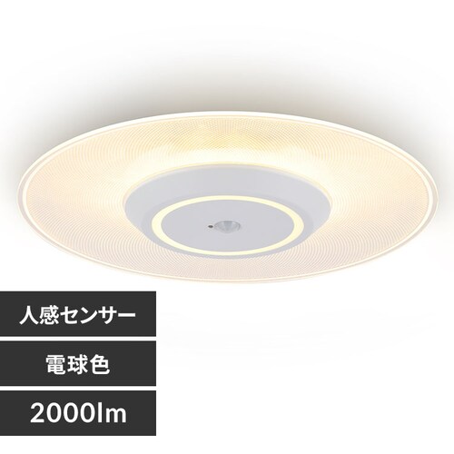 ���^�V�[�����O���C�g ������ 2000lm SCL200 �S2���f�� �S2�F�mB�n_0