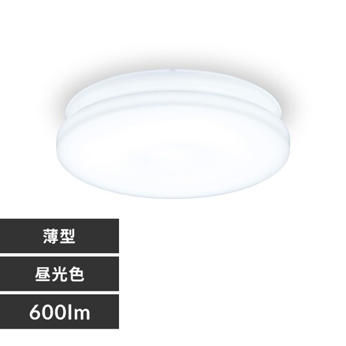 ���^�V�[�����O���C�g ���` 600lm �����F SCL6D-U2_0