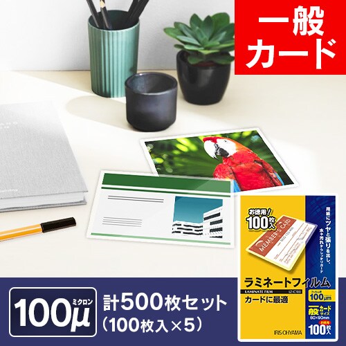 y500z ~l[gtB ʃJ[hTCY 100m 100~5 LZ-IC100_0