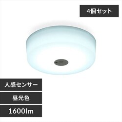 �y4�Z�b�g�z�V�[�����O���C�g LED ���^ ���^���T�[�L�b�g�V���[�Y 1600lm �l���Z���T�[�t�� �����F ���� �L�� �L�b�`�� ���ʏ� �N���[�[�b�g �Ɩ� SCL16DMS-MCHL