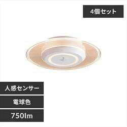 y4ZbgzplCg ^ LED 750lm lZT[t dF  L Lb` ʏ N[[bg gC u Ɩ SCL-75LMS-LGP