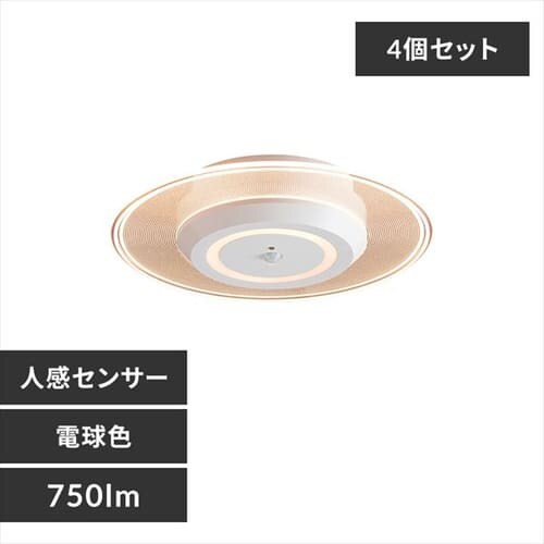 y20OFFN[|szy4ZbgzplCg ^ LED 750lm lZT[t dF  L Lb` ʏ N[[bg gC u Ɩ SCL-75LMS-LGP_0