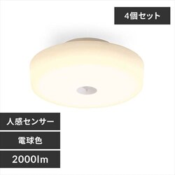 �y4�Z�b�g�z�V�[�����O���C�g LED ���^ 2000lm �l���Z���T�[�t �d���F ���� �L�� �L�b�`�� ���ʏ� �N���[�[�b�g �Ɩ� MCL20L-SK