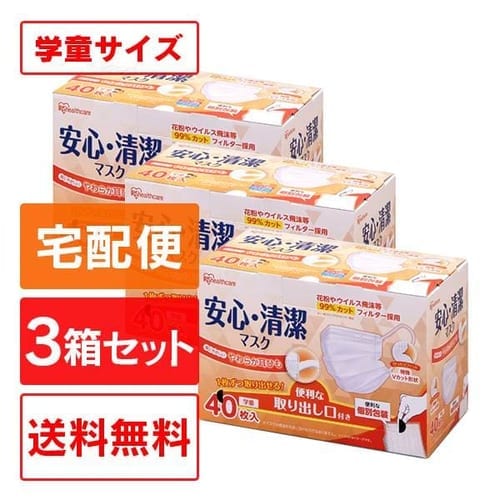 【3箱セット】安心・清潔マスク 19PK-AS40G 学童サイズ(40枚入)