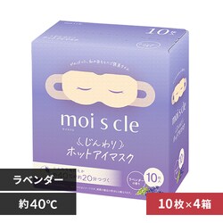 �y40������z���C�X�N�� ������z�b�g�A�C�}�X�N ���x���_�[ 10���~4�� HIM-L10