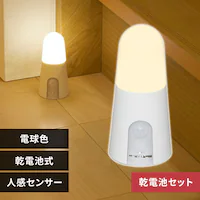 yɎg銣drZbgz ZT[Cg LED dr X^h^Cv dF BSL40SL-WV2