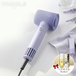 MiCOLA NCbNCIhC[ f 啗 HDR-M301-V x_[ 