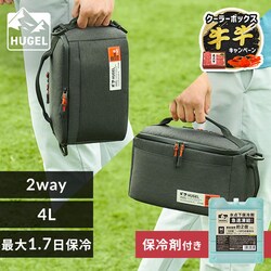 �y�}�������ۗ��M�T�C�Y�Z�b�g�zHUGEL 2way�G�A���Q���\�t�g�N�[���[�{�b�N�X 4L AGSC-4C2 �`���R�[���O���[