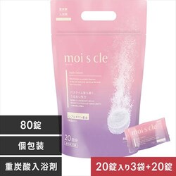 �y80�񕪁z�d�Y�_������ ���C�X�N�� MCBT-20P 60���{20��