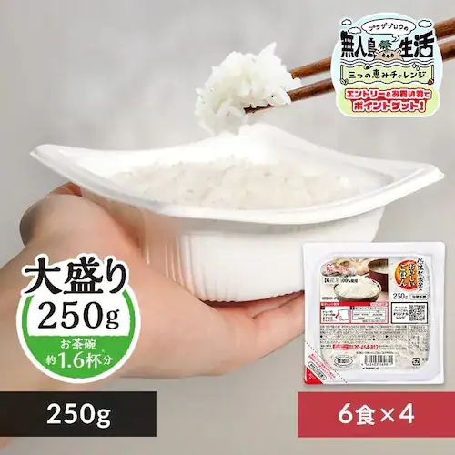 【訳あり】【最短賞味期限:2026年9月】低温製法米のパックごはん 大盛り 250g×24パック_0
