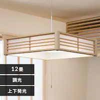 LED y_gCg 12  HEHsv Rt 5Nۏ PL12D-J2