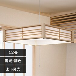 LED y_gCg 12  F HEHsv Rt 5Nۏ PL12DL-J2
