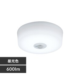 ���^�V�[�����O 600lm �����F �l���L�� SCL6D-MS-H