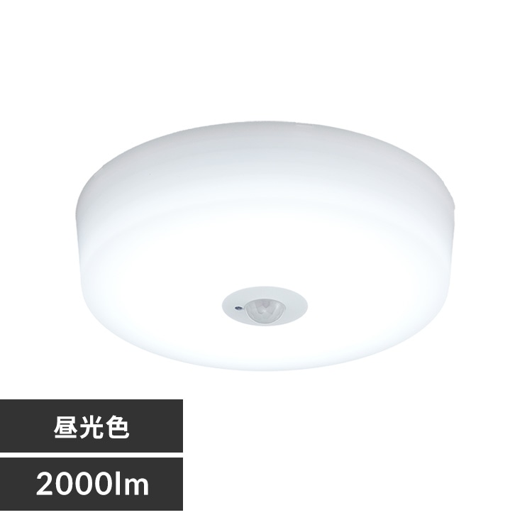 LED シーリングファンライト 10畳 調光 調色 リモコン付き 1年保証