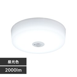 ^V[O 2000lm F lL SCL20D-MS-H