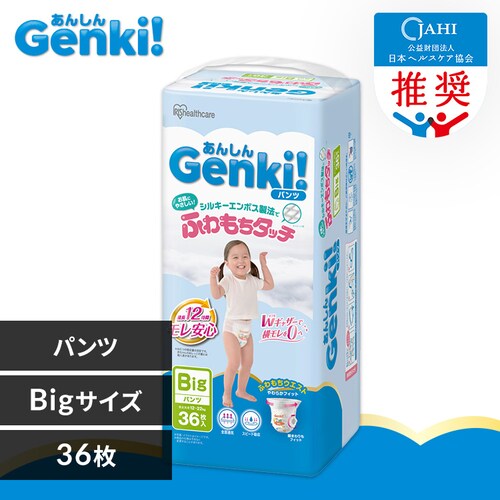 _V^GenkiIpc GBP-BIG36 BIG ނ_0