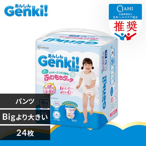 _V^GenkiIpc GBP-BIGD24 BIG ނ_0