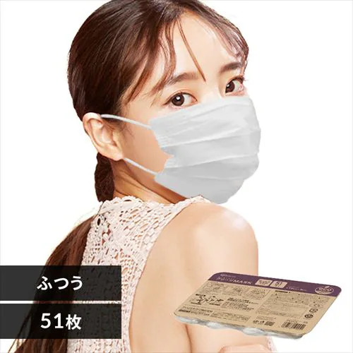 カラープリーツマスク 51枚入り 190サイズ PN-51LLW ホワイト【代引き不可】_0