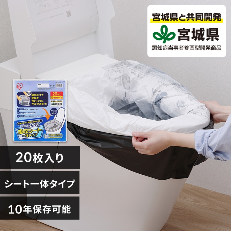 ���p�g�C���܁@�z���V�[�g��̃^�C�vSTG-20�P�i