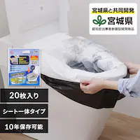 ���p�g�C���܁@�z���V�[�g��̃^�C�vSTG-20�P�i