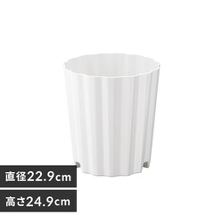 �E�F�[�u�|�b�g�W�� WP-8 �z���C�g