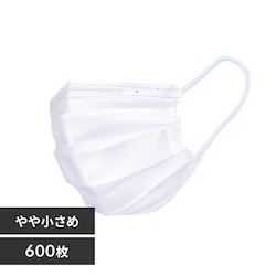 �y600���z�v���[�c�}�X�N ��⏬���߃T�C�Y �}�X�N �� ��e�� �A�C���X�I�[���}