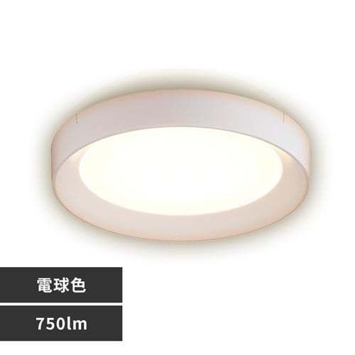 �p�l�����C�g �t���[���^�C�v ���^ LED 750lm �����F ���� �L�� �L�b�`�� ���ʏ� �N���[�[�b�g �g�C�� ���u �Ɩ� SCL75D-DU �z���C�g