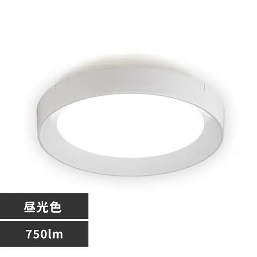 パネルライト フレームタイプ 小型 LED 750lm 昼光色 玄関 廊下 キッチン 洗面所 クローゼット トイレ 物置 照明 SCL75D-DU ホワイト_0