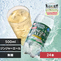 【24本】クリスタルスパーク 500ml ジンジャーエールフレーバー
