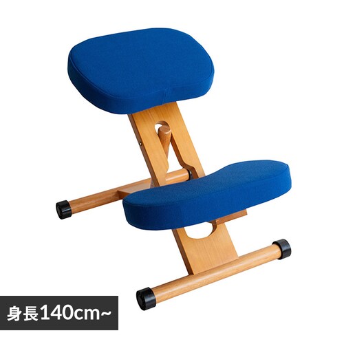 �{�����쏊 �v���|�[�V�����`�F�A CH-88W �u���[�y���Ԏw��s�z�y������s�z_0