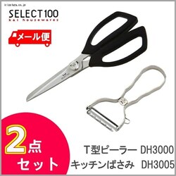 L ZNg100 Lb`΂DH3005T^s[[DH3000