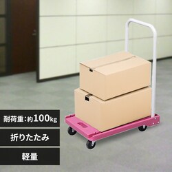 ܂肽  ω׏d100kg y É sN 