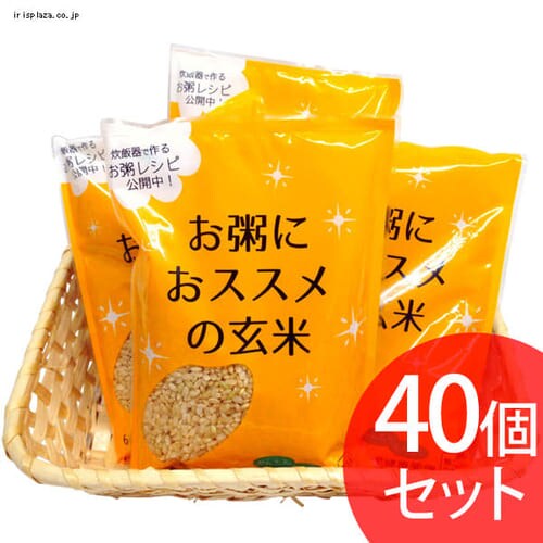 <アイリスプラザ> 3D安心ストップシャワー 全3色 16