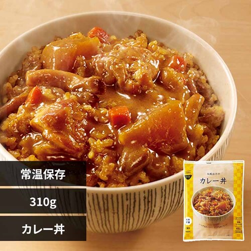 イザメシ 【3年保存】非常食 635720 和風出汁のカレー丼【プラザセレクト】_0