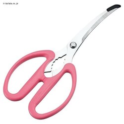 �₫�ρ[�I�z�b�g�v���[�g�͂��� 38920 