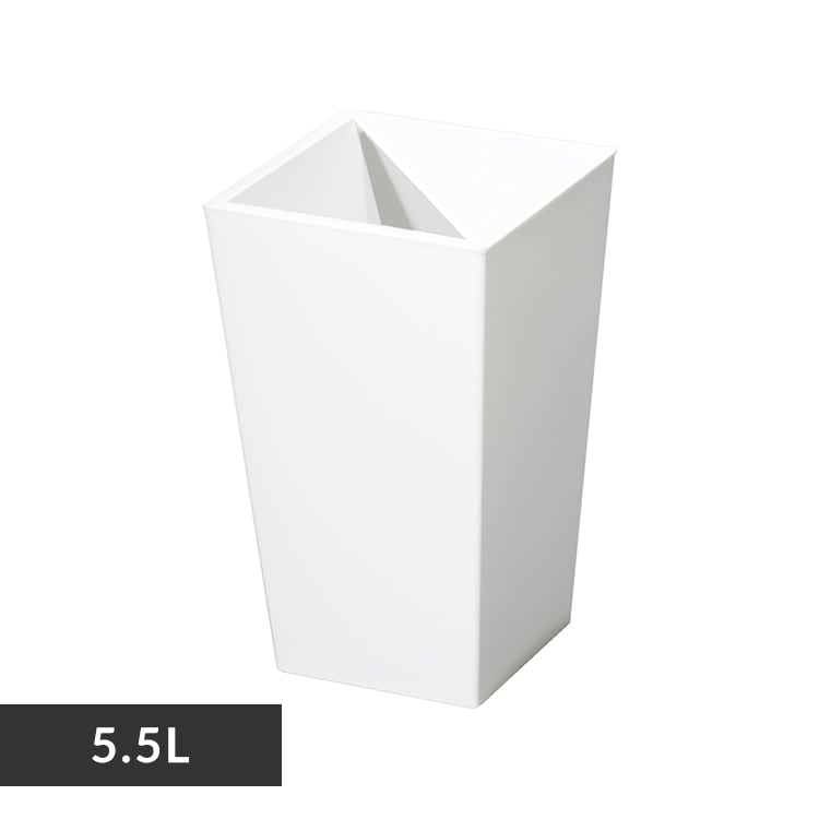 5.5L̃S~
