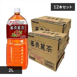 y12{z Ng בu풃 2L 