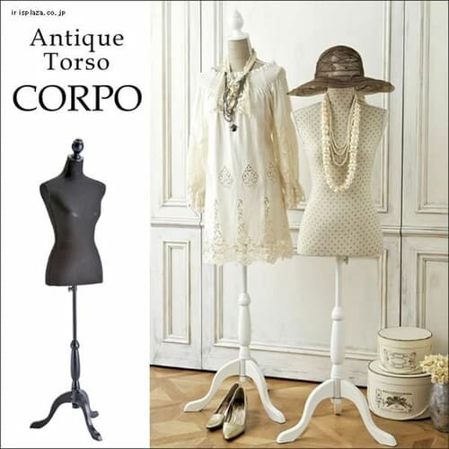 {쏊 g\[ TS-2000 x[W_0