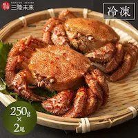 �O���Y�{�C���уK�j250�� 2���Z�b�g �y���Ԏw��s�z