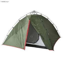 �m�[�X�C�[�O�� ���񂽂�h�[�� 240 NE1225 