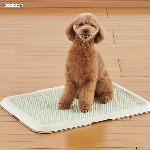 ボンビアルコン 薄型しつけるトレー M ブラウン_0