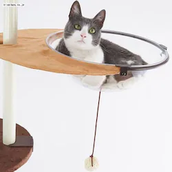 {rAR Lbg|[pNAnK[iʔpj   