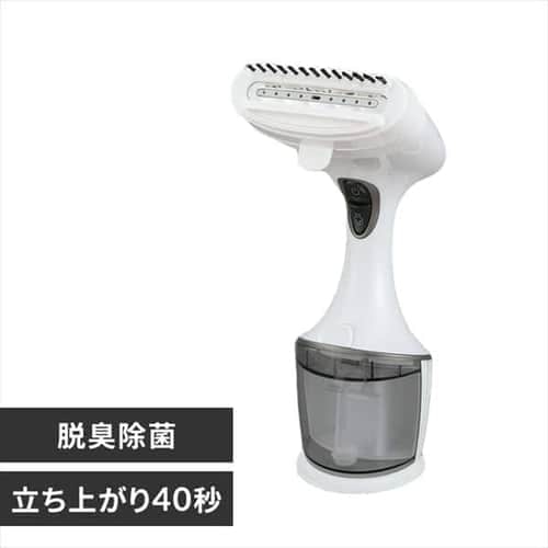 clothes steamer costco