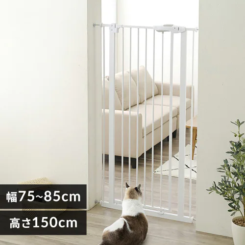 �ǉ����i�T���l�C��